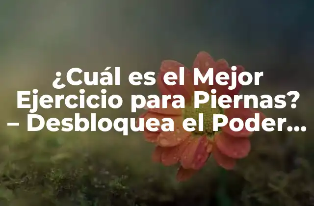 ¿cuál es el Mejor Ejercicio para Piernas? – Desbloquea el Poder de Tus Piernas
