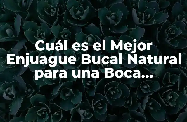 Cuál es el Mejor Enjuague Bucal Natural para una Boca Saludable