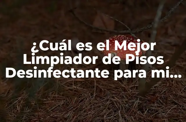 ¿cuál es el Mejor Limpiador de Pisos Desinfectante para Mi Hogar?