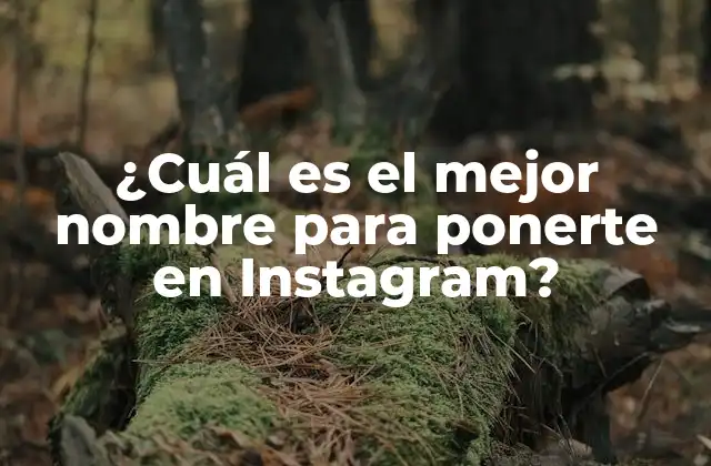 ¿cuál es el Mejor Nombre para Ponerte en Instagram?