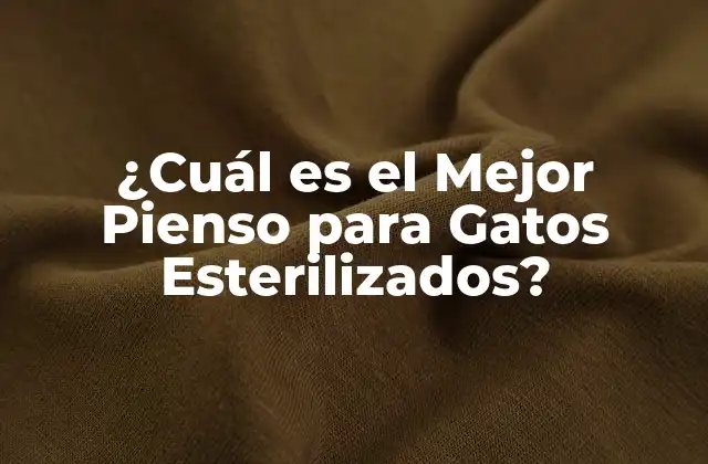 ¿cuál es el Mejor Pienso para Gatos Esterilizados?