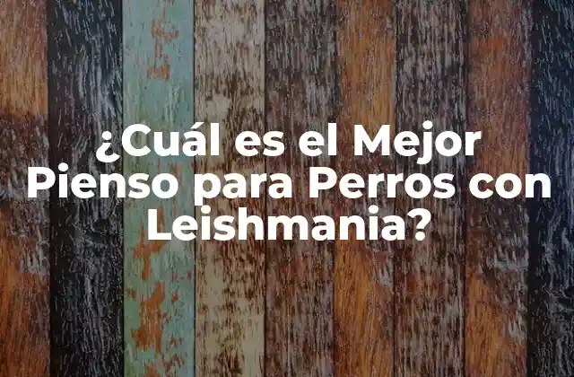 ¿cuál es el Mejor Pienso para Perros con Leishmania?