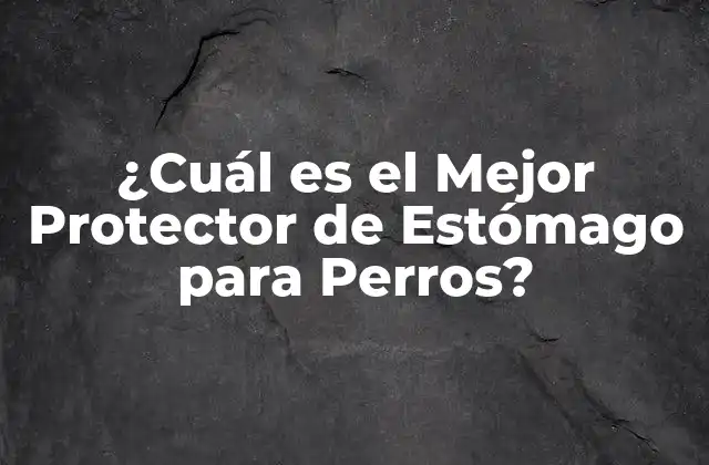 ¿cuál es el Mejor Protector de Estómago para Perros?