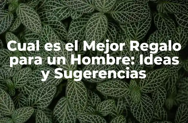 Cual es el Mejor Regalo para un Hombre: Ideas y Sugerencias