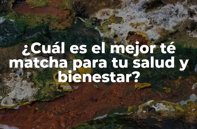 ¿cuál es el Mejor Té Matcha para Tu Salud y Bienestar?