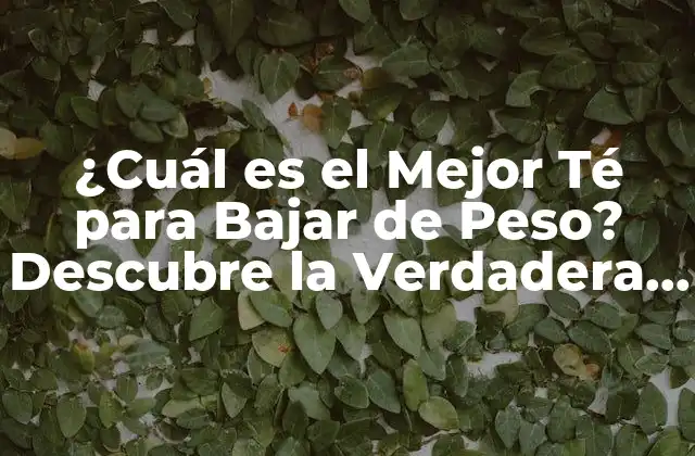 ¿cuál es el Mejor Té para Bajar de Peso? Descubre la Verdadera Respuesta