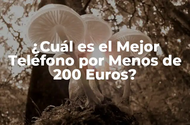 ¿cuál es el Mejor Teléfono por Menos de 200 Euros?