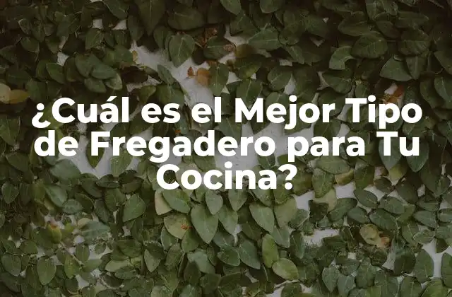 ¿cuál es el Mejor Tipo de Fregadero para Tu Cocina?