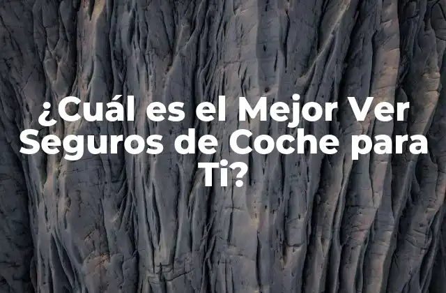 ¿cuál es el Mejor Ver Seguros de Coche para Ti?