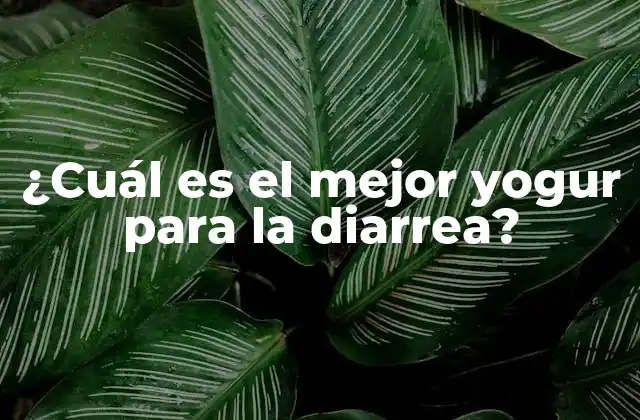 Cómo el yogur puede ayudar con la diarrea