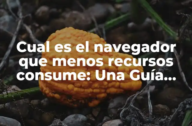 Cual es el Navegador que Menos Recursos Consume: una Guía Completa