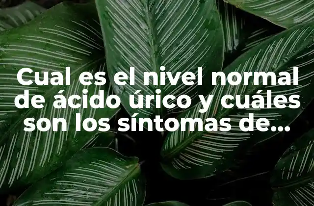Cual es el Nivel Normal de Ácido Úrico y Cuáles Son los Síntomas de Tener el Ácido Úrico Alto