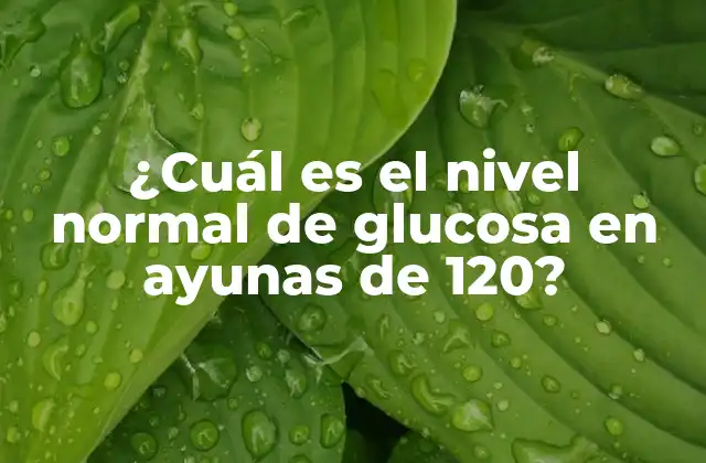 ¿cuál es el Nivel Normal de Glucosa en Ayunas de 120? 2 ¿Qué es un nivel normal de glucosa en ayunas?