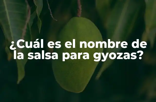 ¿cuál es el Nombre de la Salsa para Gyozas?