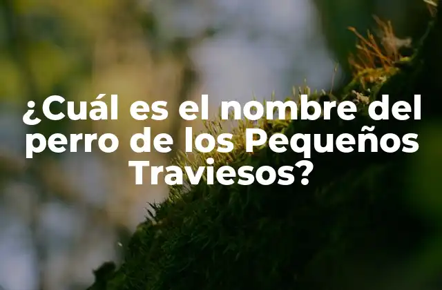 ¿cuál es el Nombre Del Perro de los Pequeños Traviesos?