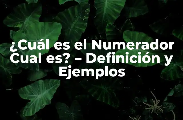 ¿cuál es el Numerador Cual Es? - Definición y Ejemplos 2 Definición de Numerador Cual es