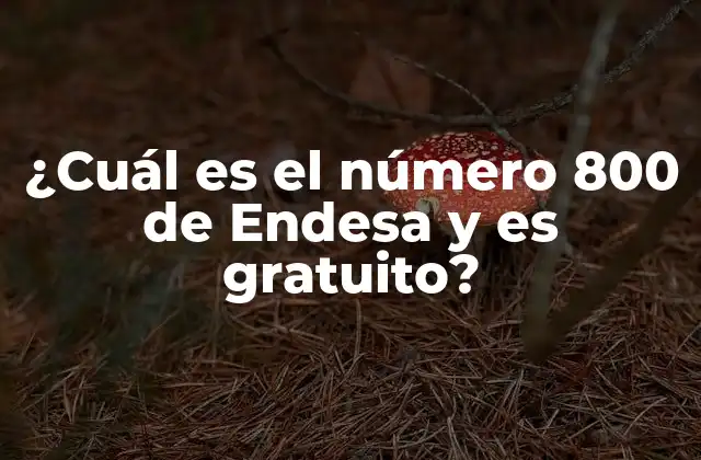 ¿cuál es el Número 800 de Endesa y es Gratuito?