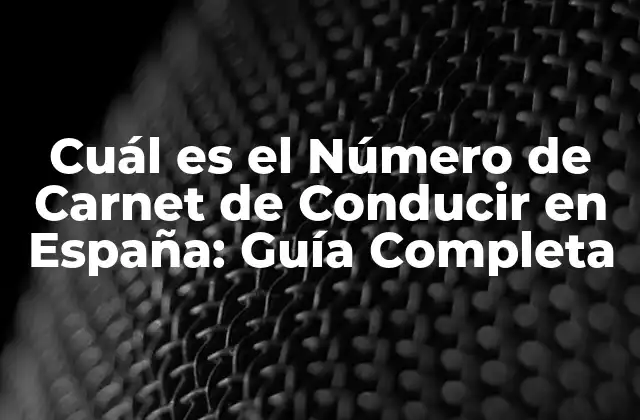 Cuál es el Número de Carnet de Conducir en España: Guía Completa