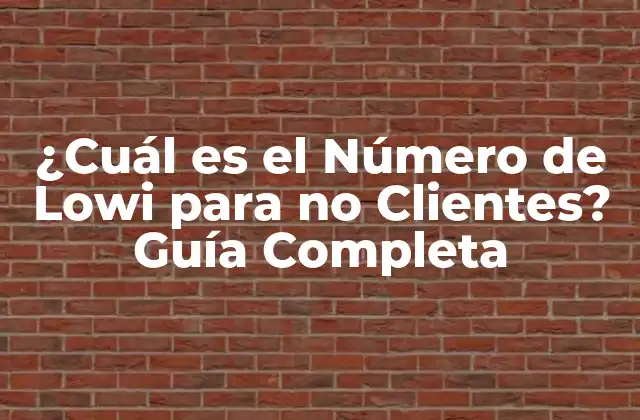 ¿cuál es el Número de Lowi para No Clientes? Guía Completa