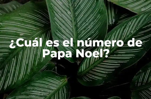 ¿cuál es el Número de Papa Noel?