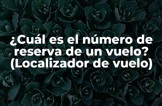 ¿cuál es el Número de Reserva de un Vuelo? (localizador de Vuelo)