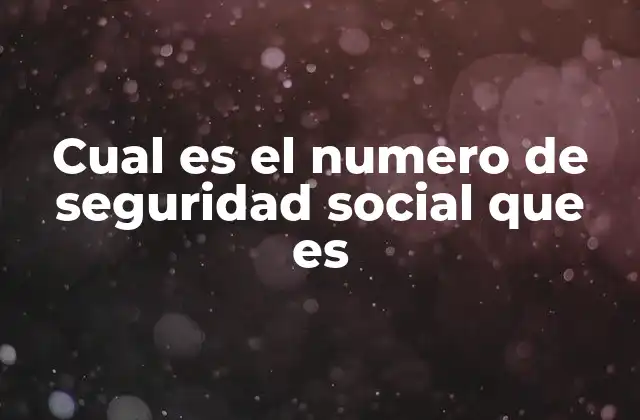 Cual es el Numero de Seguridad Social que es