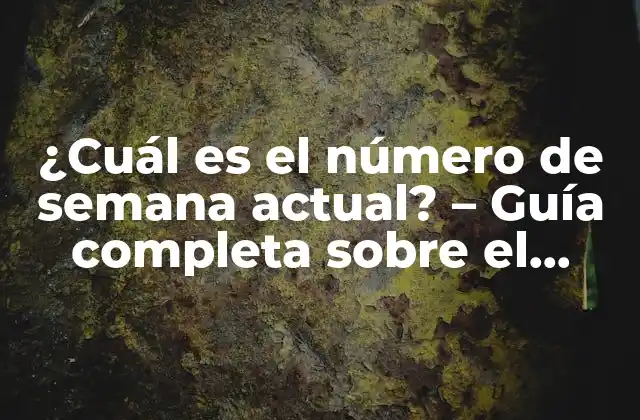 ¿cuál es el Número de Semana Actual? – Guía Completa sobre el Número de Semana
