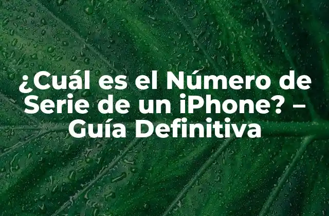 ¿cuál es el Número de Serie de un Iphone? – Guía Definitiva