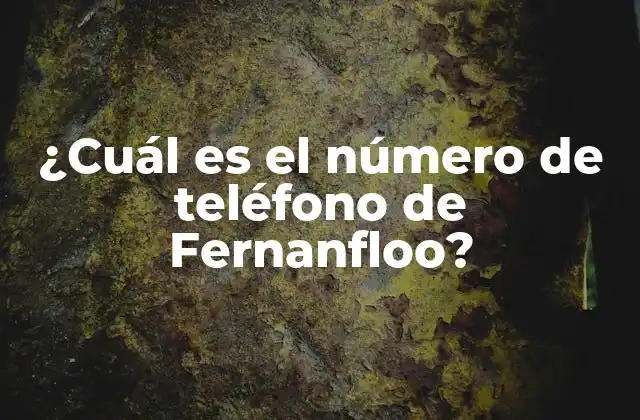 ¿cuál es el Número de Teléfono de Fernanfloo?