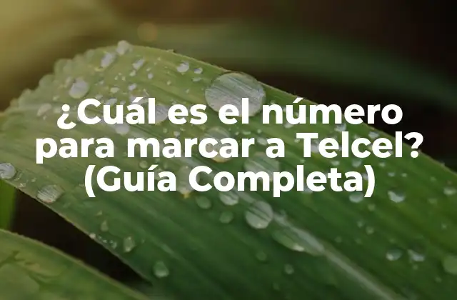 ¿cuál es el Número para Marcar a Telcel? (guía Completa)