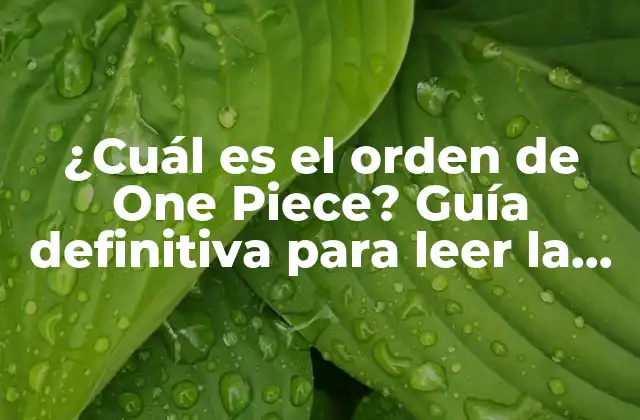 ¿cuál es el Orden de One Piece? Guía Definitiva para Leer la Serie