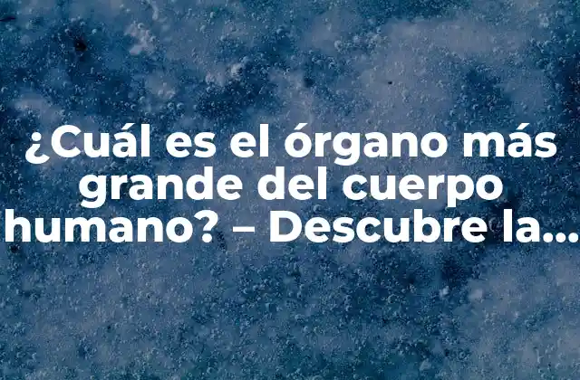 ¿cuál es el Órgano Más Grande Del Cuerpo Humano? – Descubre la Sorprendente Respuesta