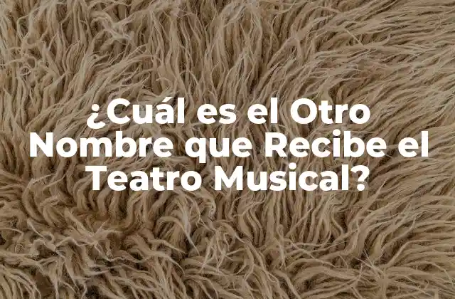 ¿cuál es el Otro Nombre que Recibe el Teatro Musical?