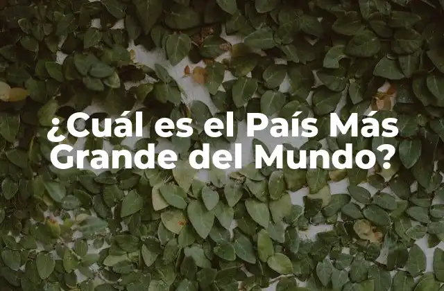 Definición de País Más Grande