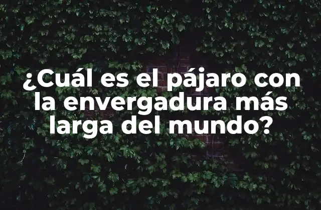 ¿cuál es el Pájaro con la Envergadura Más Larga Del Mundo?