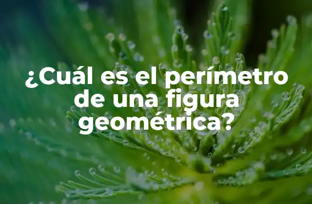 ¿cuál es el Perímetro de una Figura Geométrica?