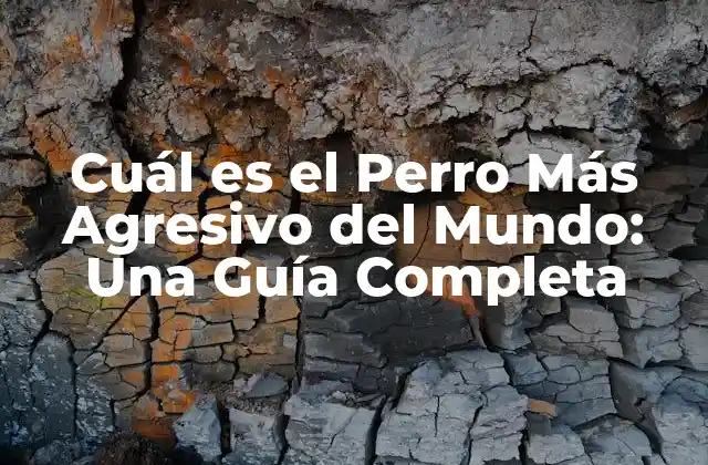 Cuál es el Perro Más Agresivo Del Mundo: una Guía Completa