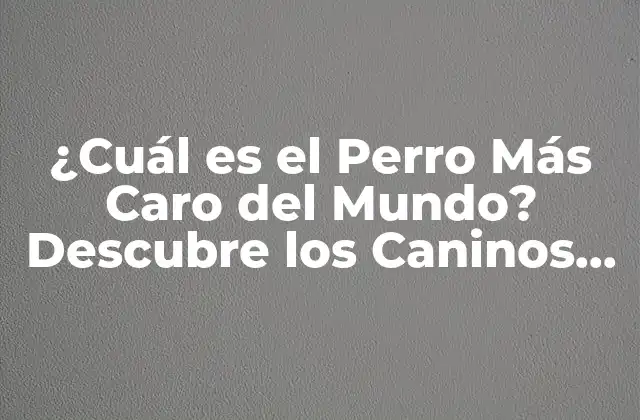 ¿cuál es el Perro Más Caro Del Mundo? Descubre los Caninos Más Costosos