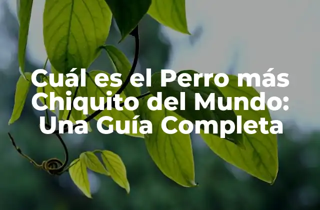 Cuál es el Perro Más Chiquito Del Mundo: una Guía Completa