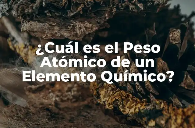 ¿cuál es el Peso Atómico de un Elemento Químico?