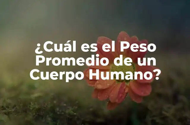 ¿cuál es el Peso Promedio de un Cuerpo Humano?
