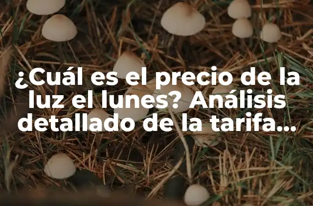 ¿cuál es el Precio de la Luz el Lunes? Análisis Detallado de la Tarifa Eléctrica Diaria