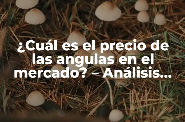 ¿cuál es el Precio de las Angulas en el Mercado? – Análisis Detallado Del Costo de las Angulas