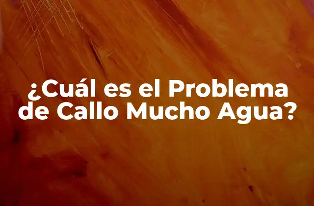 ¿cuál es el Problema de Callo Mucho Agua?