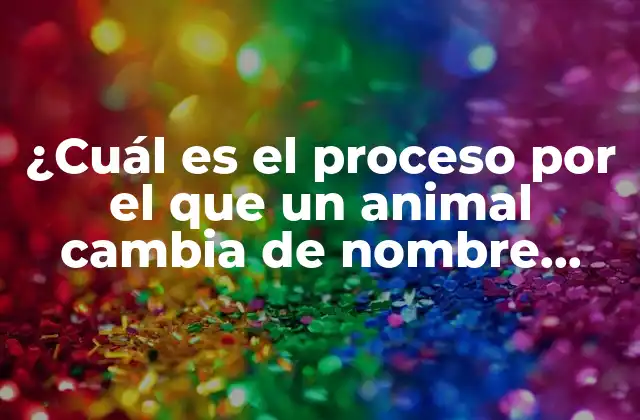 ¿cuál es el Proceso por el que un Animal Cambia de Nombre Cuando Muere? ( Exactamente)