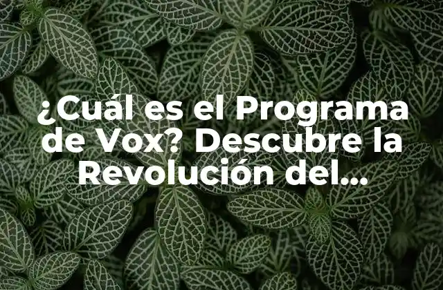 ¿cuál es el Programa de Vox? Descubre la Revolución Del Aprendizaje en Línea