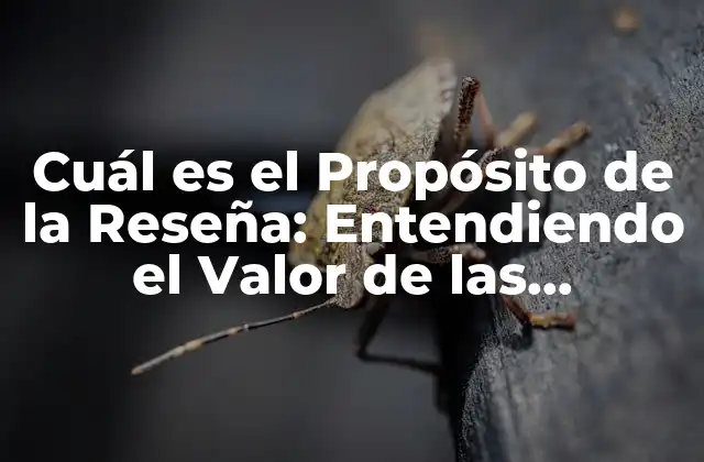 Cuál es el Propósito de la Reseña: Entendiendo el Valor de las Opiniones de los Clientes