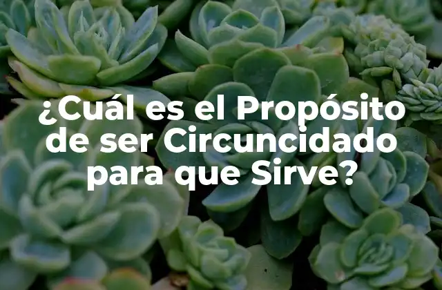 ¿cuál es el Propósito de Ser Circuncidado para que Sirve?