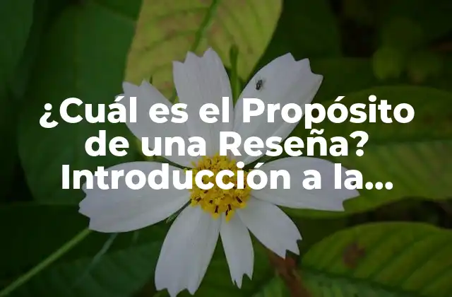 ¿cuál es el Propósito de una Reseña? Introducción a la Importancia de las Reseñas en la Investigación