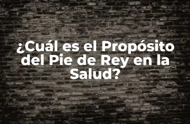 ¿cuál es el Propósito Del Pie de Rey en la Salud?